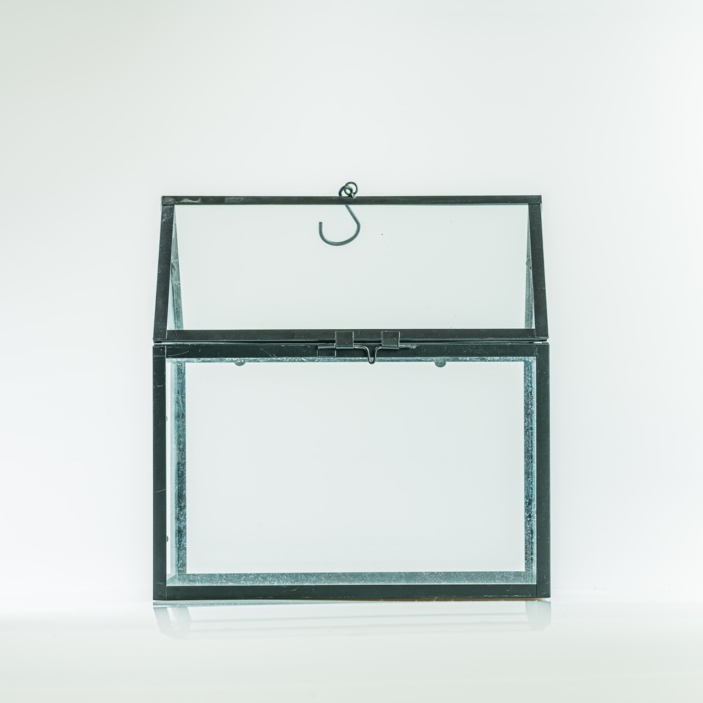 Location Petite serre en métal noir et verre