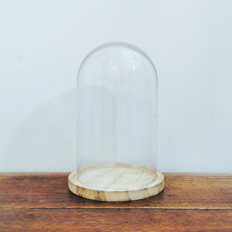 Location Cloche en verre support en bois