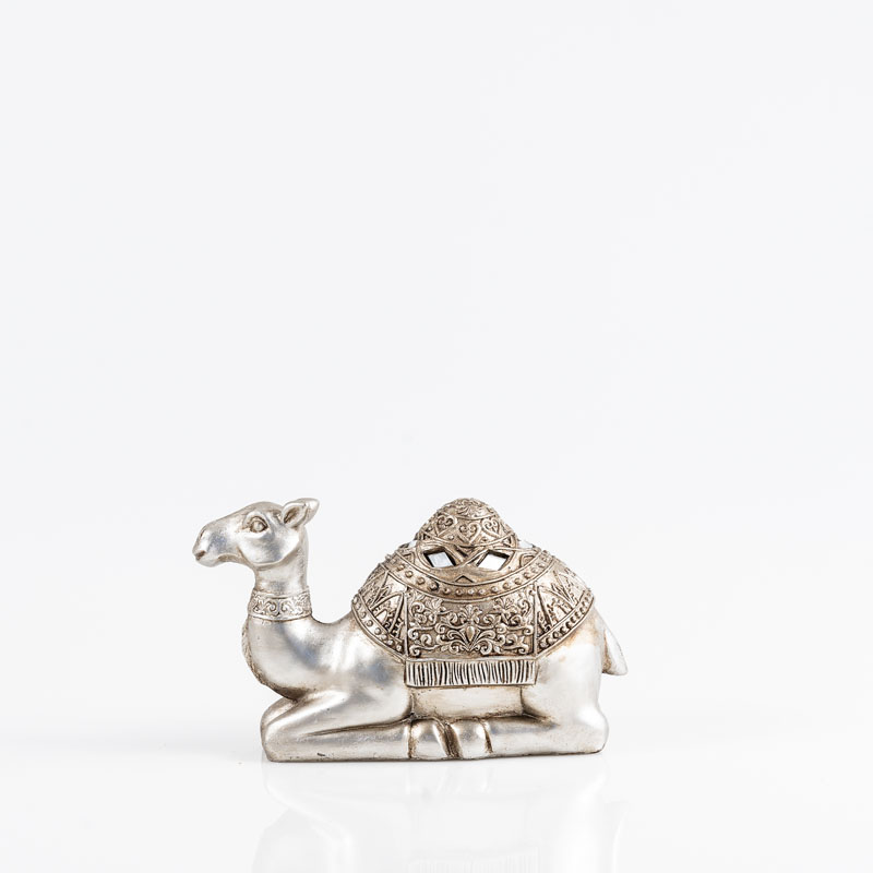 Location Dromadaire doré