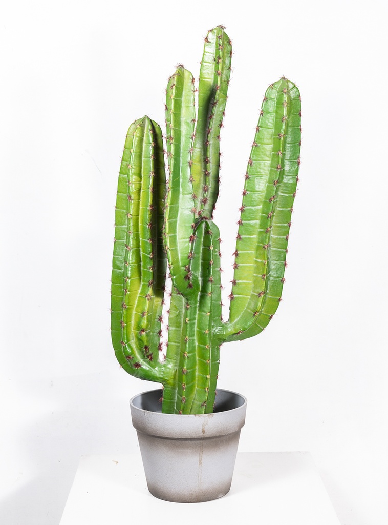 Location Faux cactus en pot