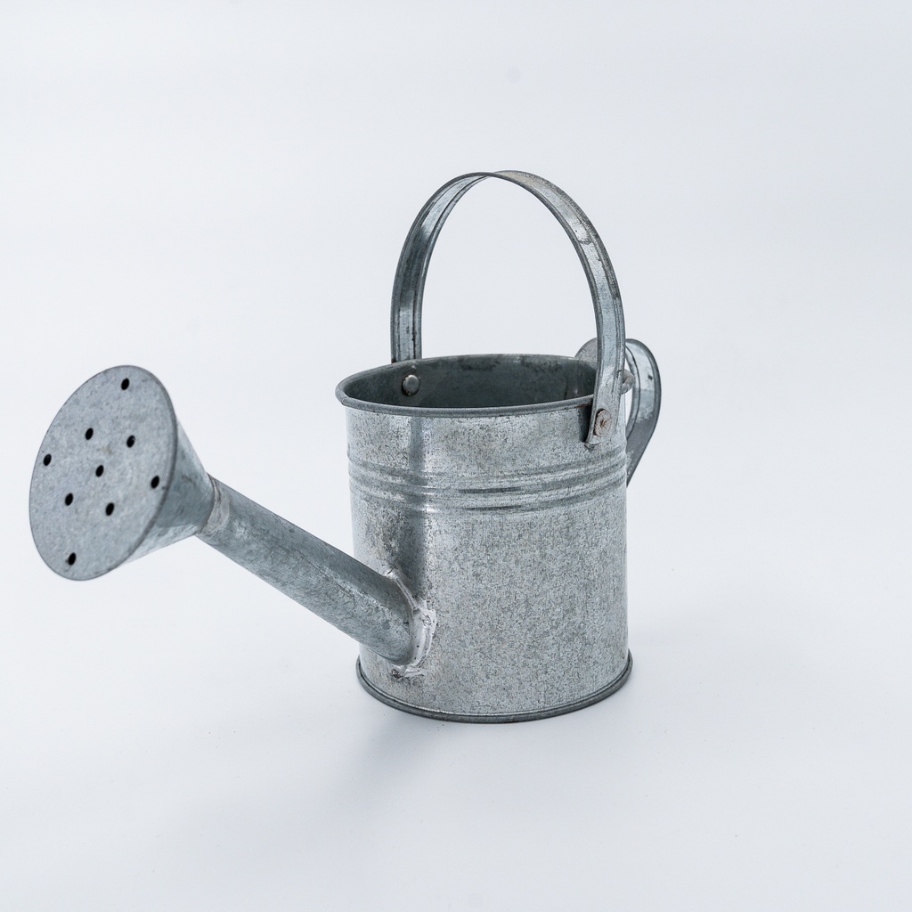 Location Mini arrosoir en zinc
