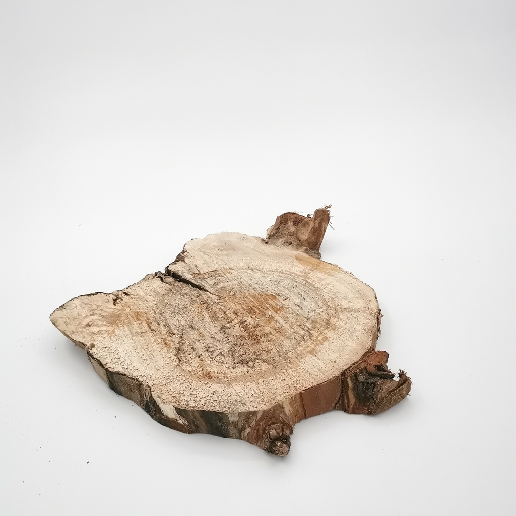 Location Rondin avec écorce forme arrondie variable