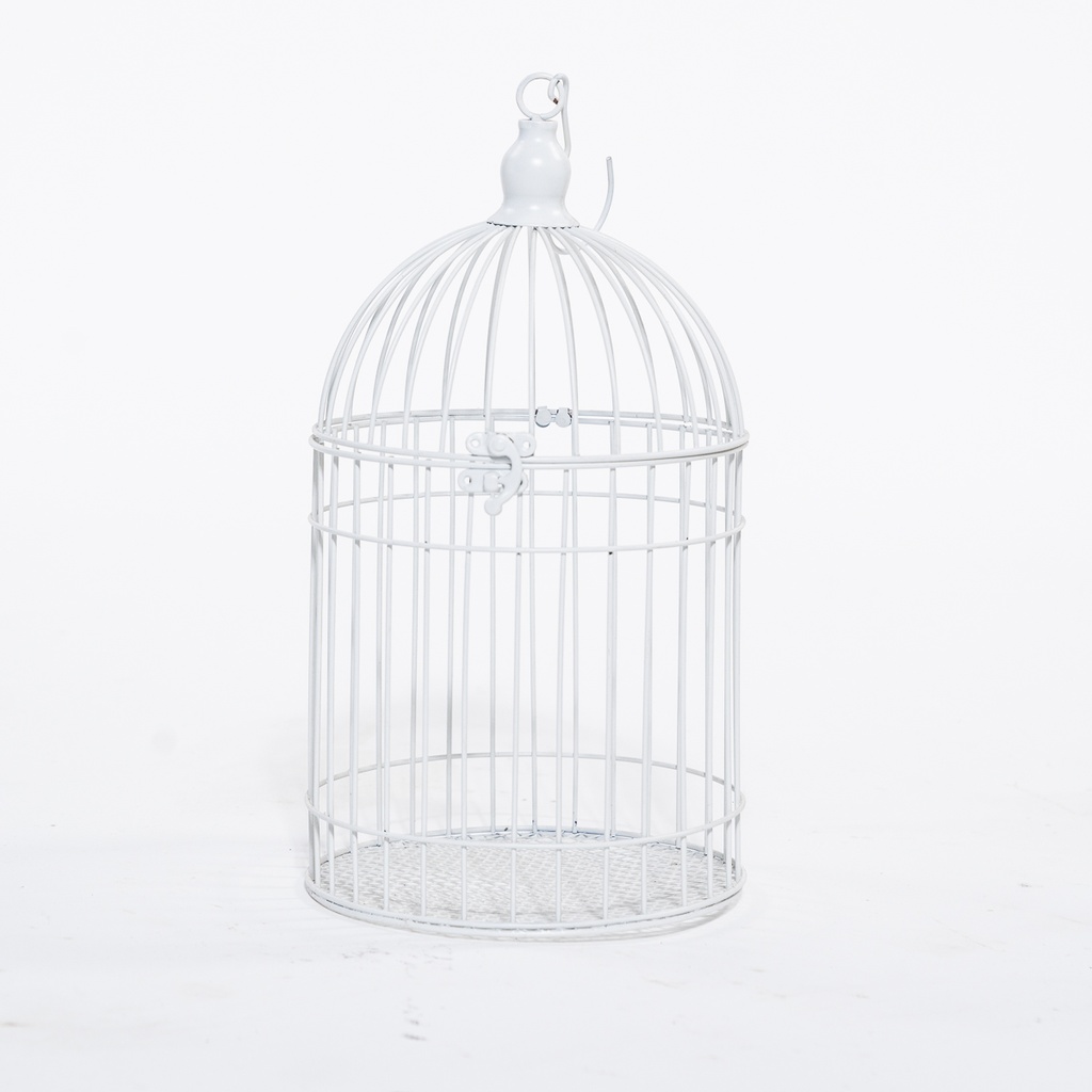 Location Cage à oiseaux blanche
