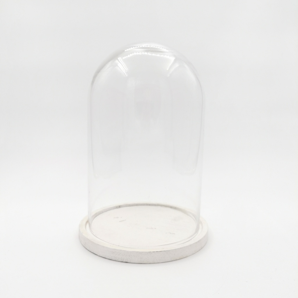 Location Cloche en verre L sur socle blanc