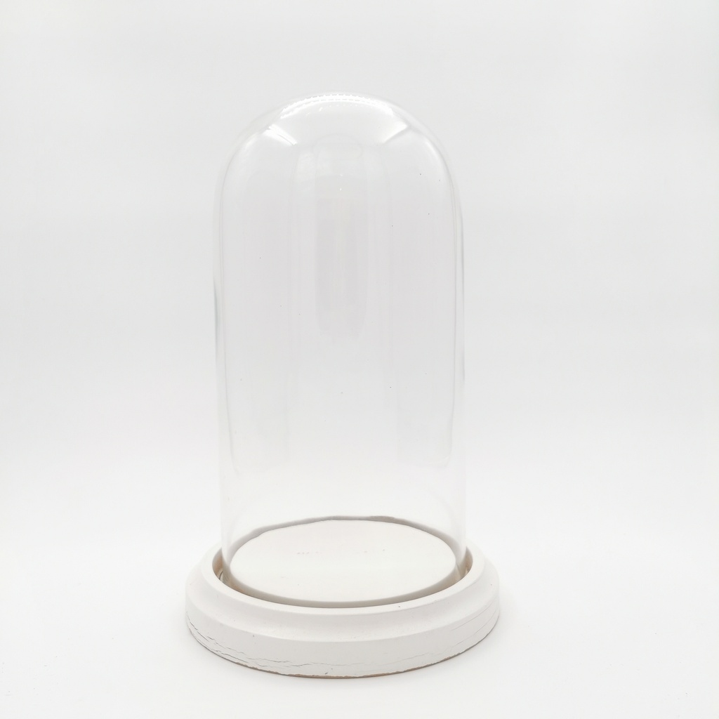 Location Cloche en verre XL sur socle blanc