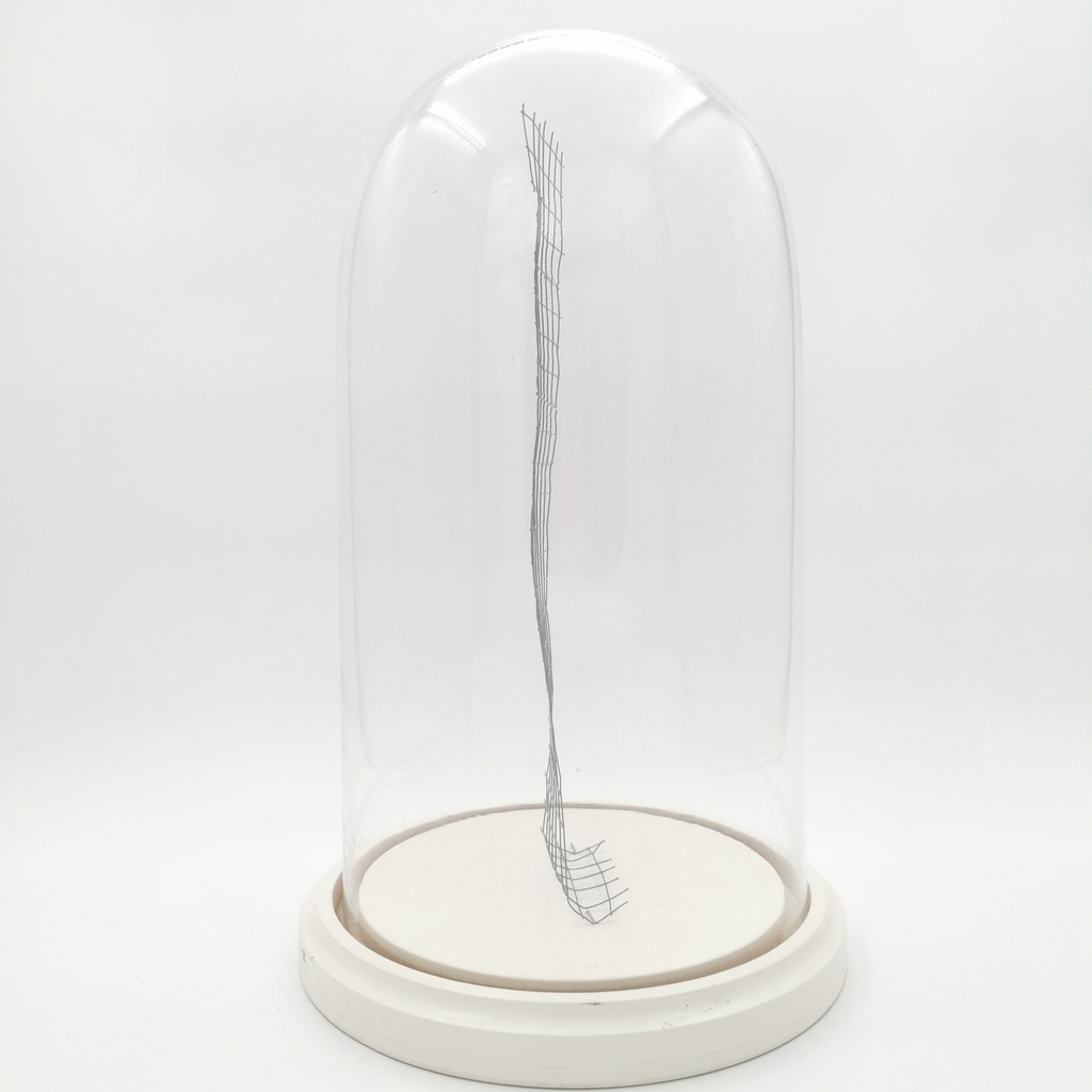 Location Cloche en verre XXL sur socle blanc avec grillage pour placer des décorations