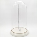 Location Cloche en verre XXL sur socle blanc avec grillage pour placer des décorations