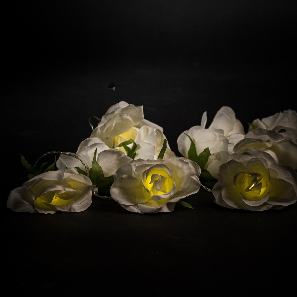 Location Guirlande de 10 roses blanches