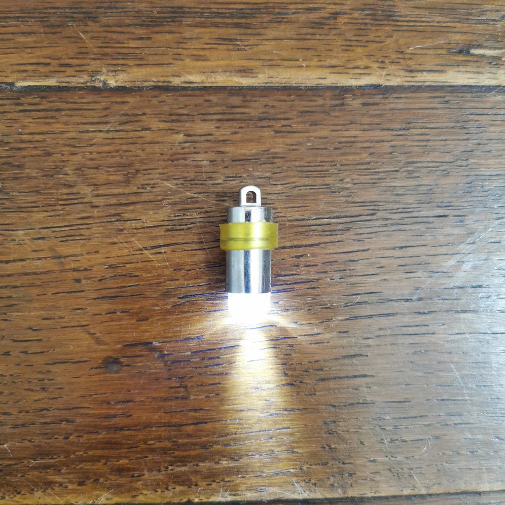 Location Ampoule pour lampion (blanc chaud)