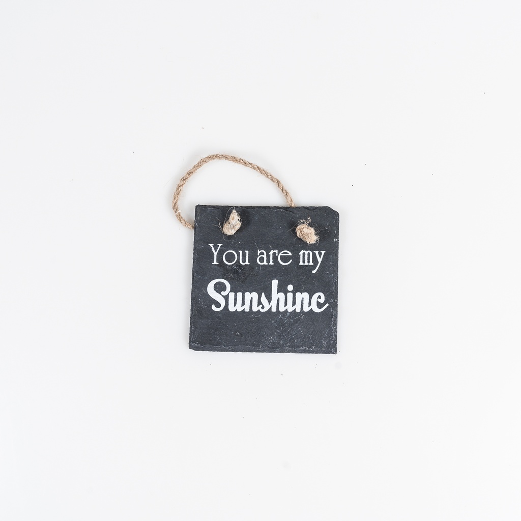 Location Plaquette ardoise You are my sunshine