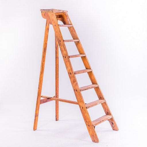 [A041] Location Grande échelle ancienne en bois