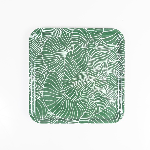 [A128] Location Plateau vert carré