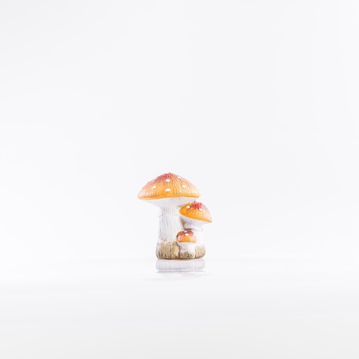 [D014] Location Champignons porcelaine oranges