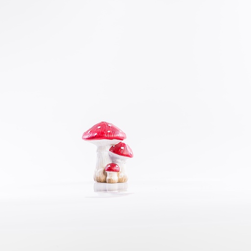 [D015] Location Champignons porcelaine rouges
