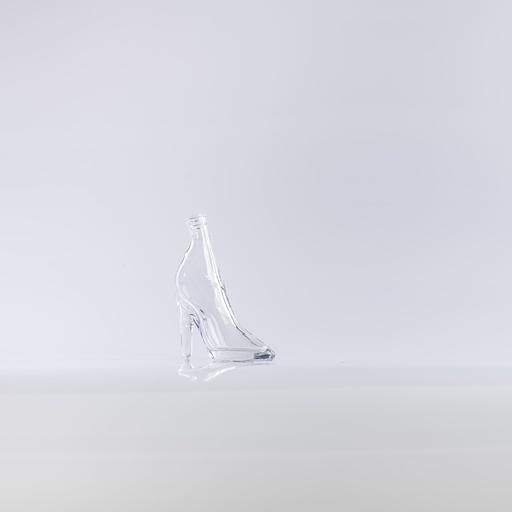 [D028] Location Chaussure de verre