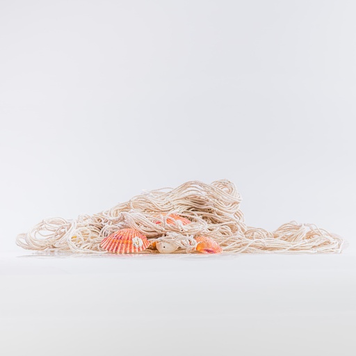 [D030] Location Filet de pêche avec coquillages