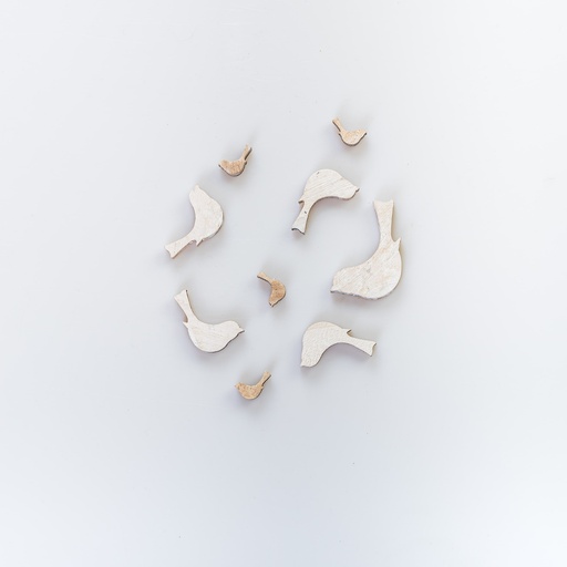 [D036] Location Lot de 8 oiseaux en bois décoratifs