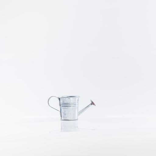 [D052] Location Arrosoir en métal argenté miniature