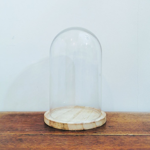 [D129] Location Cloche en verre support en bois