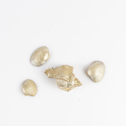 [D167] Location Lot coquillages dorés