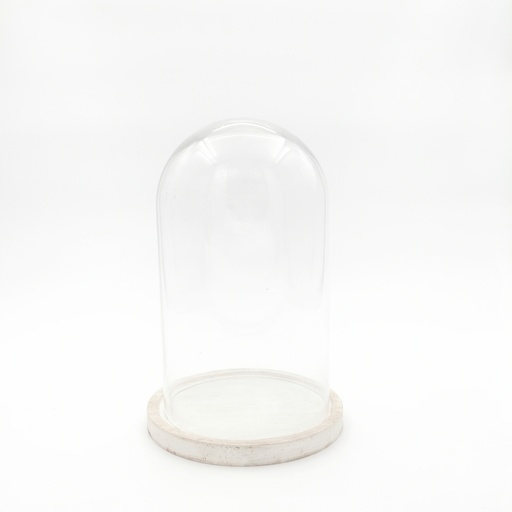 [D275] Location Cloche en verre M sur socle blanc