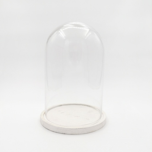 [D276] Location Cloche en verre L sur socle blanc