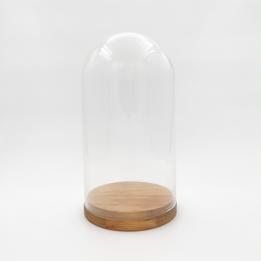 [D277] Location Cloche en verre L sur socle en bois style teck