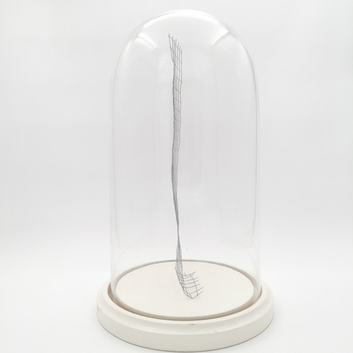 [D279] Location Cloche en verre XXL sur socle blanc avec grillage pour placer des décorations
