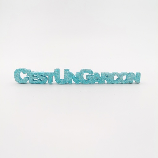 [D300] Location C'est un garçon bleu pailleté