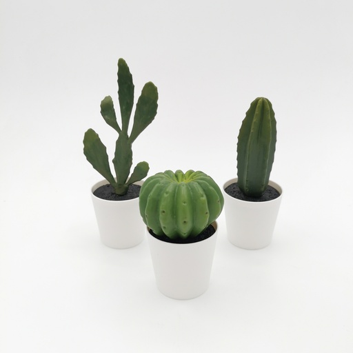 [D316] Location Trio de faux cactus