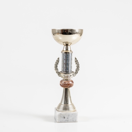 [J008] Location Trophée de champion