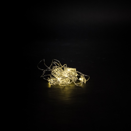 [L010] Location Guirlande de 10 pinces lumineuses