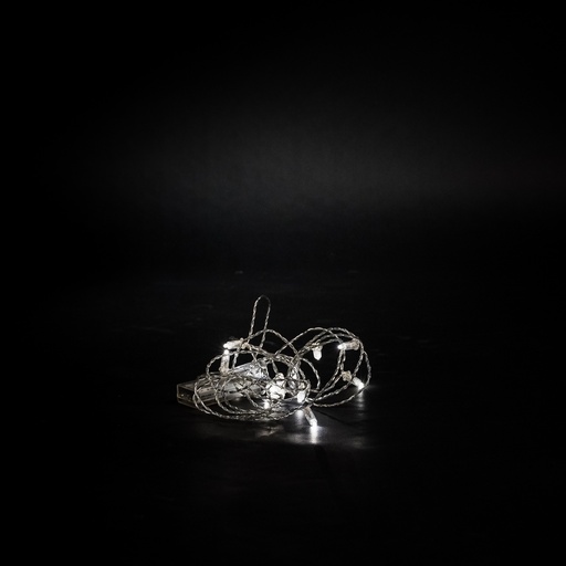 [L013] Location Guirlande 12 ampoules