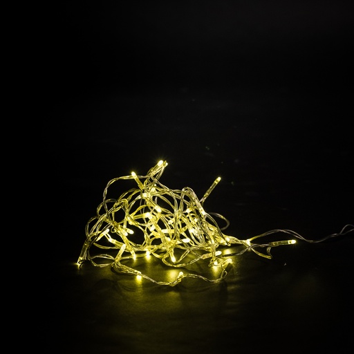 [L016] Location Guirlande 40 ampoules blanc chaud