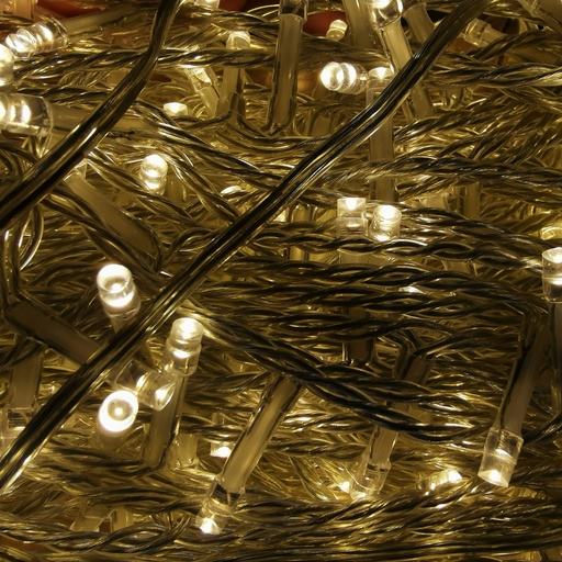 [L037] Location Longue guirlande lumineuse