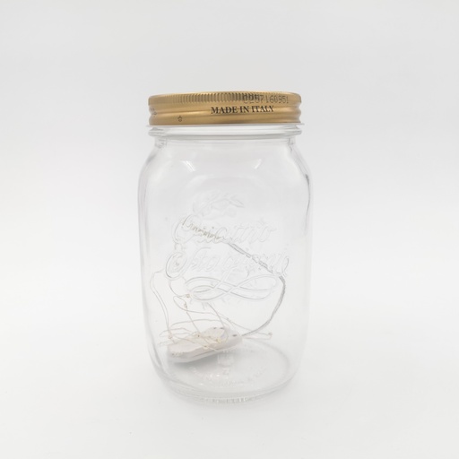 [L045] Location Bocal avec guirlande lumineuse M