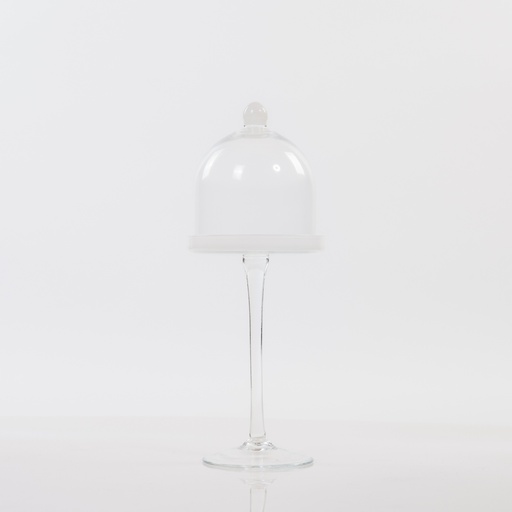 [S043] Location Cloche en verre sur socle haut